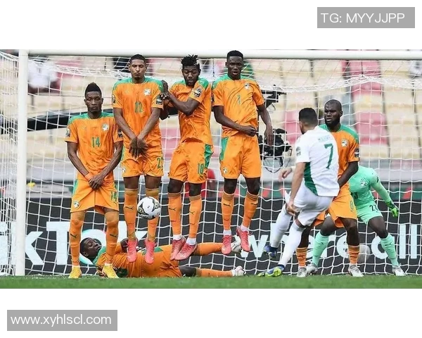 尼日尔足球队迎战埃及队期待精彩对决与历史交锋的精彩瞬间