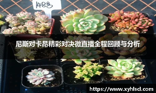 9001诚信金沙网站