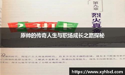 原帅的传奇人生与职场成长之路探秘
